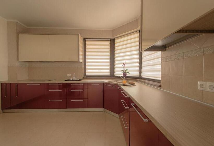 침실 2개 디럭스 아파트, Samali Residence