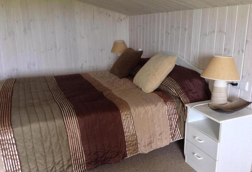 آپارتمان دوبلکس 1 خوابه, Viski Vila
