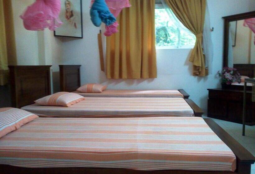 اتاق ساده سه‌ نفره, Mccarthy Guesthouse