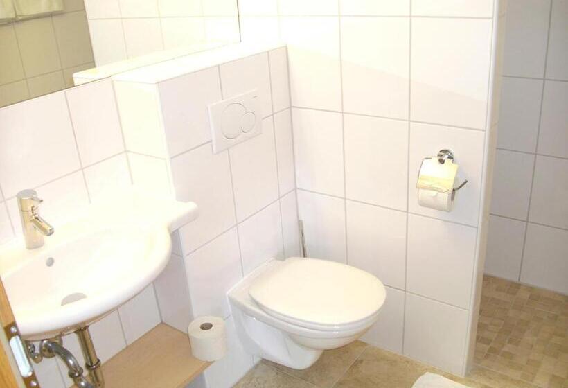 Номер Стандарт с Балконом, Hirzingerhof