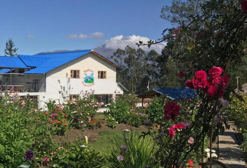 이코노미 룸, Hosteria Rose Cottage