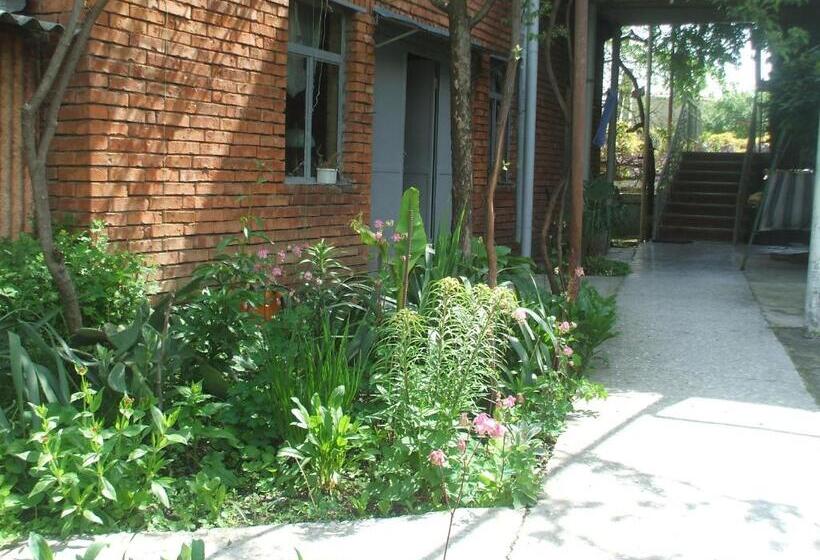 اتاق استاندارد با سرویس بهداشتی مشترک, Tlt Guest House