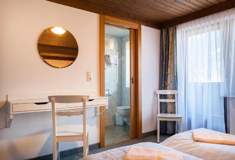 Номер Стандарт с Балконом, Naturpension Mühlhof
