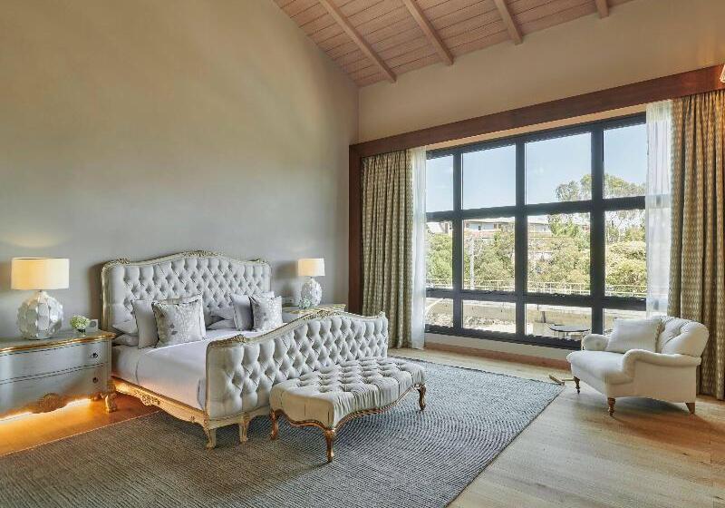 اتاق کلاب, Hyatt Regency Addis Ababa