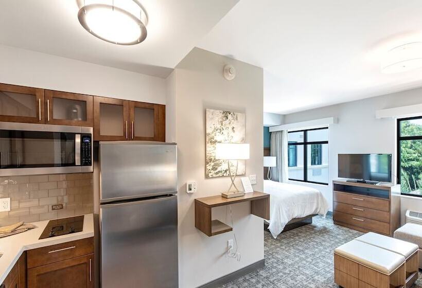 带双人床的标准工作室, Staybridge Suites   Naples   Marco Island, An Ihg