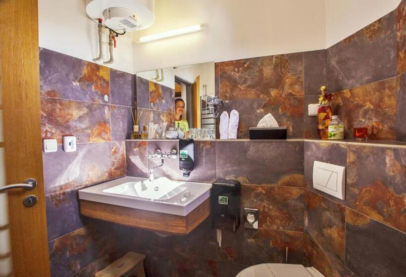 Номер Стандарт, Penzion Veza