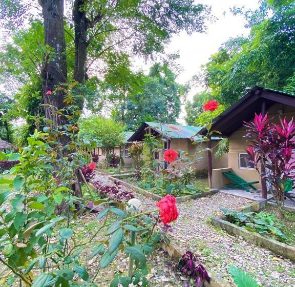 اتاق عادی, Nature Safari Camp