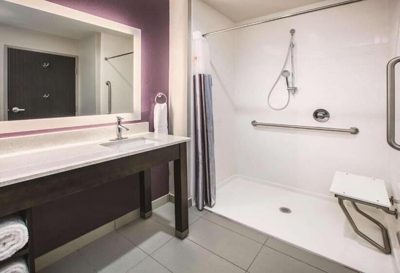 اتاق استاندارد برای معلولان, La Quinta By Wyndham Dallas   Richardson