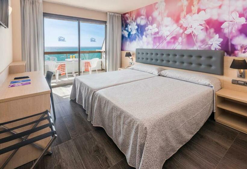 Номер Премиум, Tropic Park