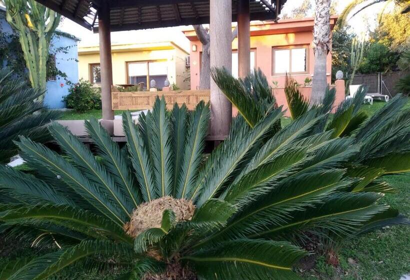 בונגלו משפחתי, Beach Hotel Dos Mares