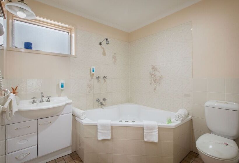 اتاق استاندارد با وان آب گرم, Australia Park Motel