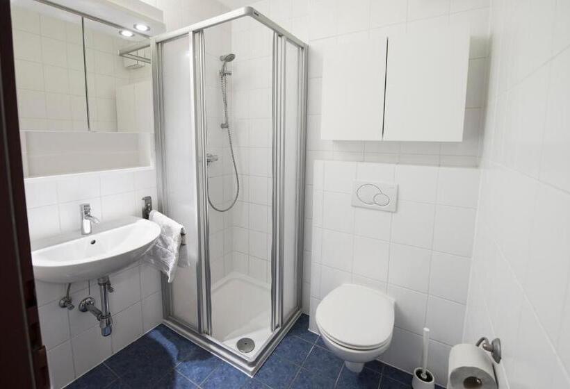 اتاق استاندارد, Mynext   Riverside Hotel Salzburg