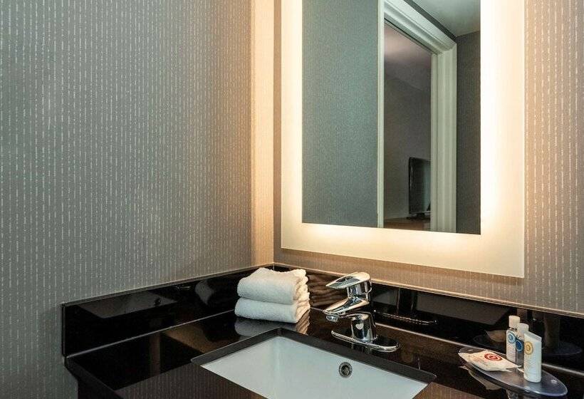 Номер Стандарт 2 Двуспальные Кровати, Comfort Inn