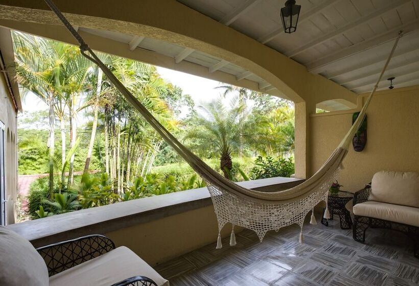 اتاق استاندارد با تخت بزرگ, San Ignacio Resort