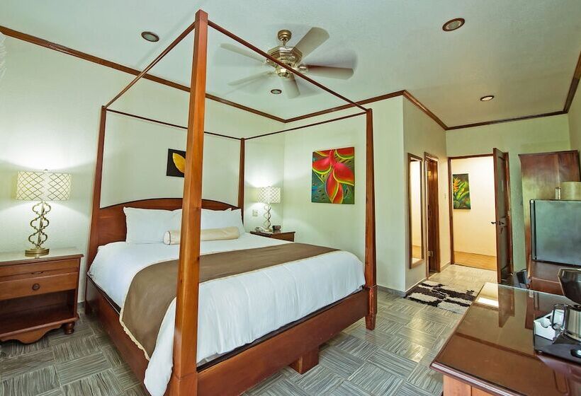 اتاق استاندارد با تخت بزرگ, San Ignacio Resort