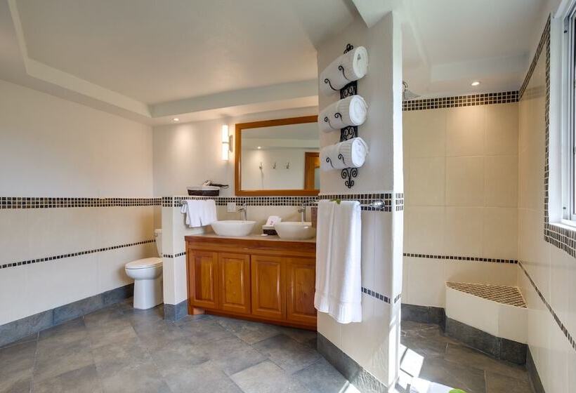 سوئیت با چشم‌انداز رودخانه, San Ignacio Resort