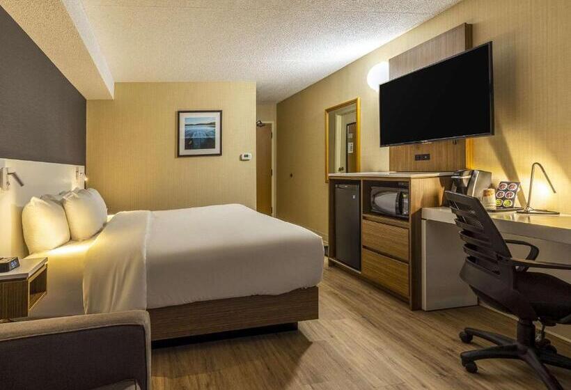 Стандартный Номер Нижний Этаж, Comfort Inn