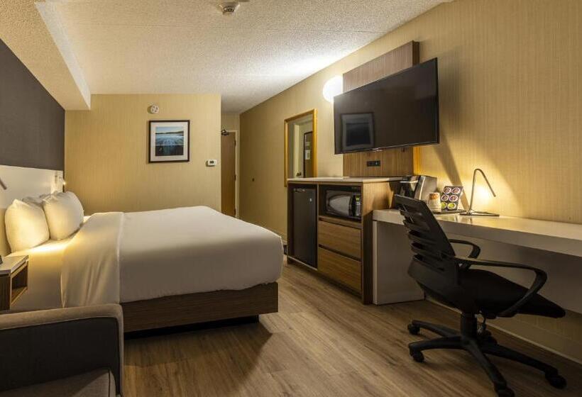 Стандартный Номер Нижний Этаж, Comfort Inn