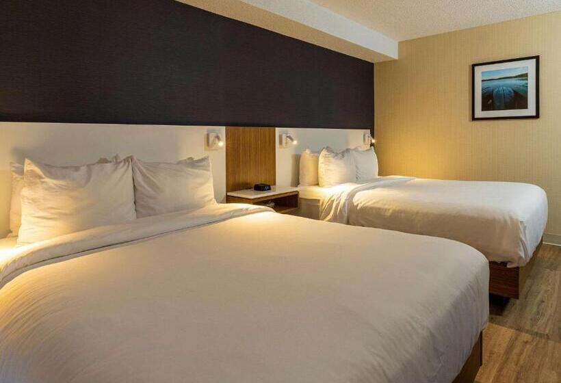Номер Стандартный Кровать Куин, Comfort Inn