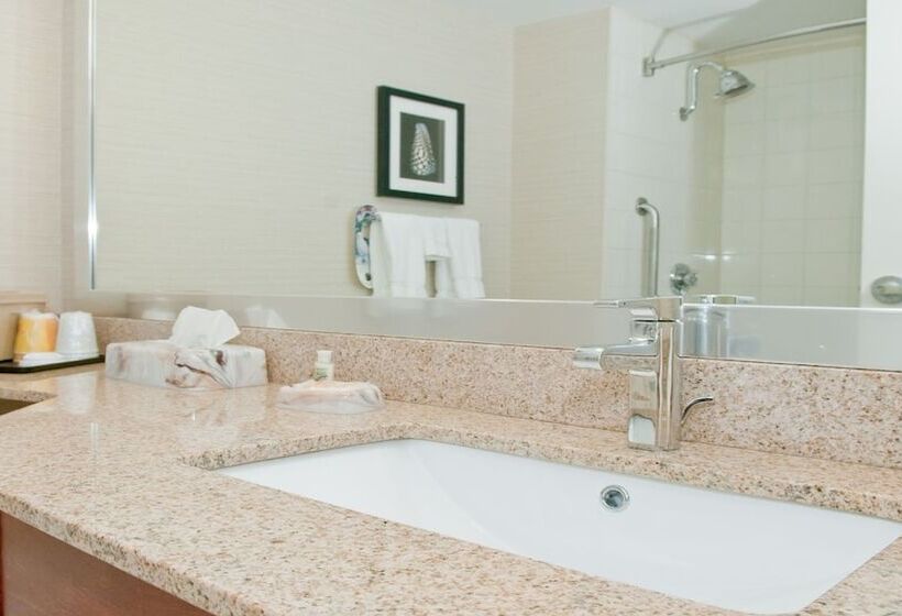 Номер Стандарт 2 Двуспальные Кровати, Holiday Inn Oakville Centre, An Ihg