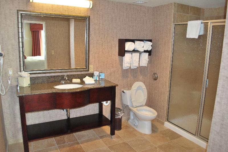 Номер Стандарт Адаптированный для Инвалидов, Holiday Inn Oakville Centre, An Ihg