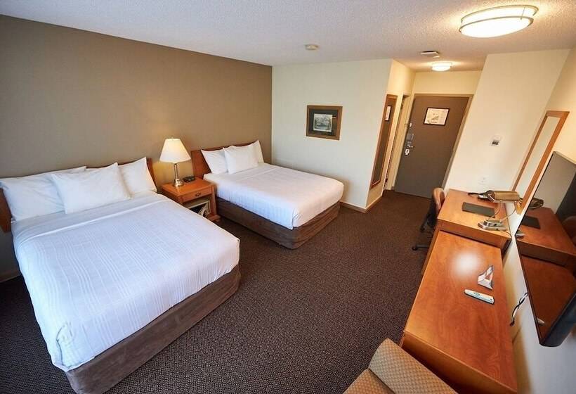 ２ダブルベッドのスタンダードルーム, Jasper Inn & Suites By Innhotels