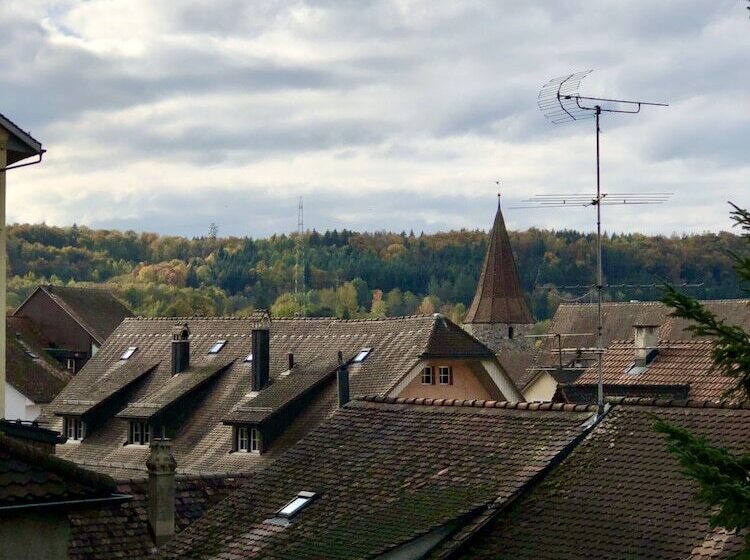 Номер Стандарт Индивидуальный, Marco Polo Business Apartments Sonne   Bremgarten