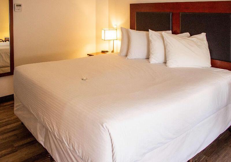 اتاق استاندارد با تخت بزرگ, Penticton, Independent