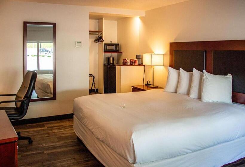 اتاق استاندارد با تخت بزرگ, Penticton, Independent