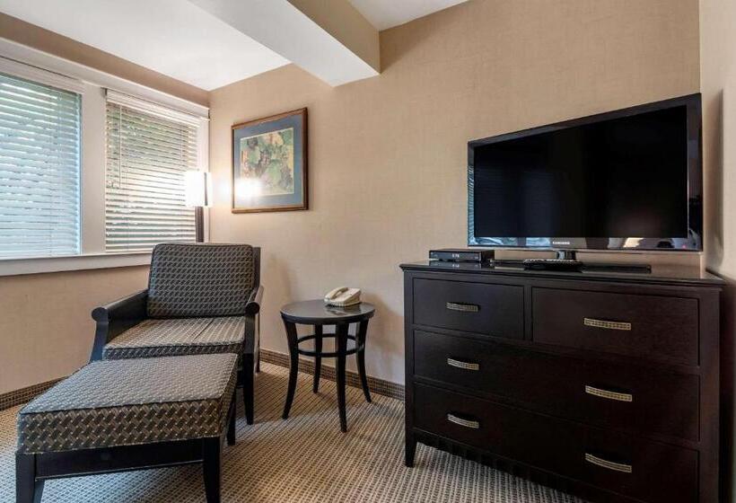 اتاق استاندارد با تخت بزرگ, Penticton, Independent