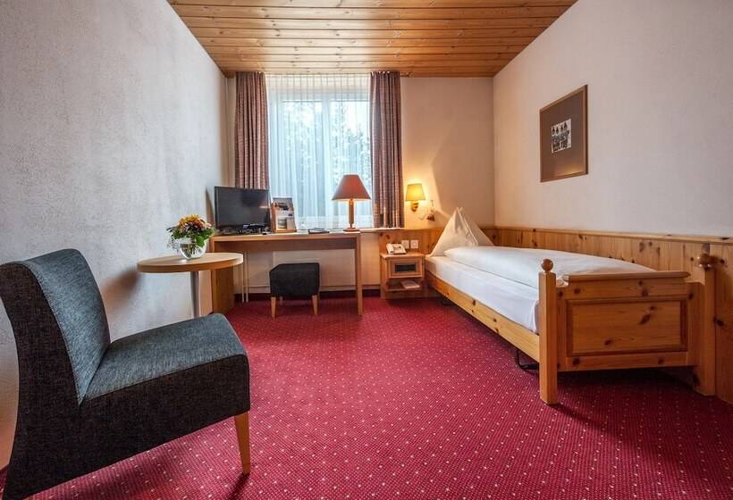 اتاق استاندارد یک نفره, Waldhotel Arosa