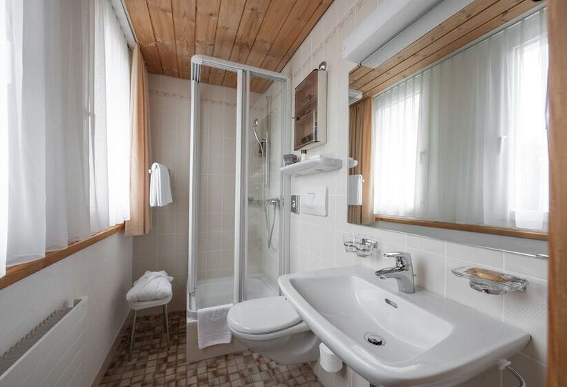 اتاق استاندارد یک نفره, Waldhotel Arosa