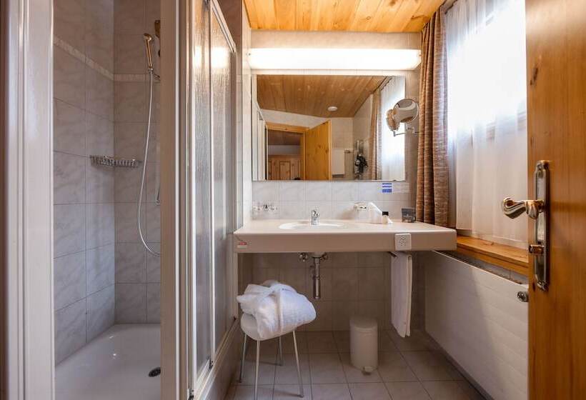 اتاق استاندارد یک نفره, Waldhotel Arosa