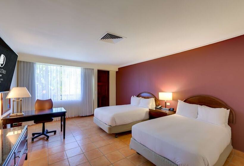 Номер Стандарт 2 Двуспальные Кровати, DoubleTree by Hilton Hotel Cariari San Jose - Costa Rica