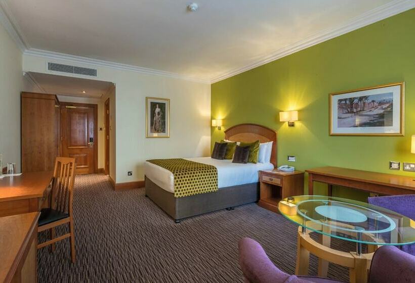 اتاق لوکس, Riu Plaza The Gresham Dublin