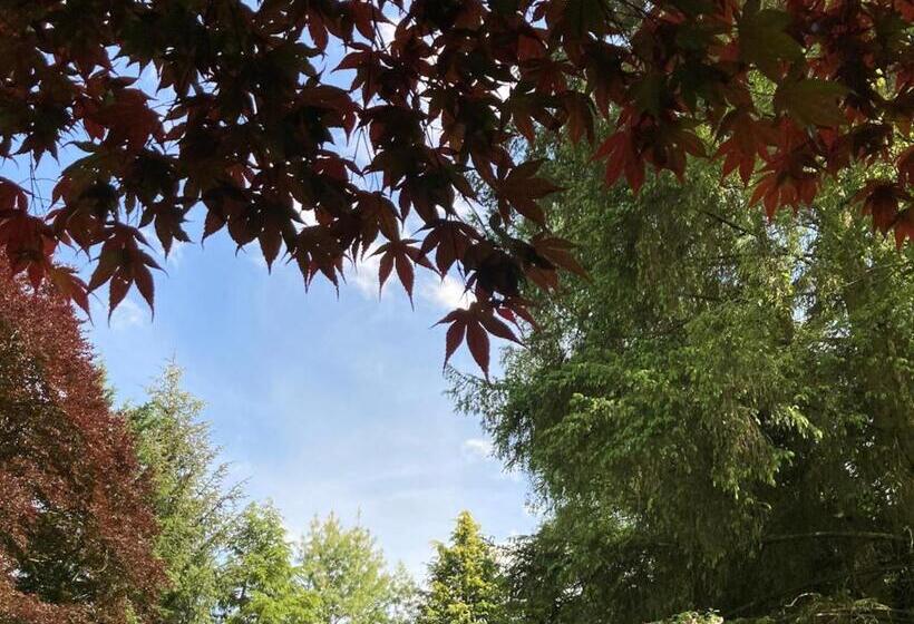 اتاق سوپریور با تخت بزرگ, Heathpark House