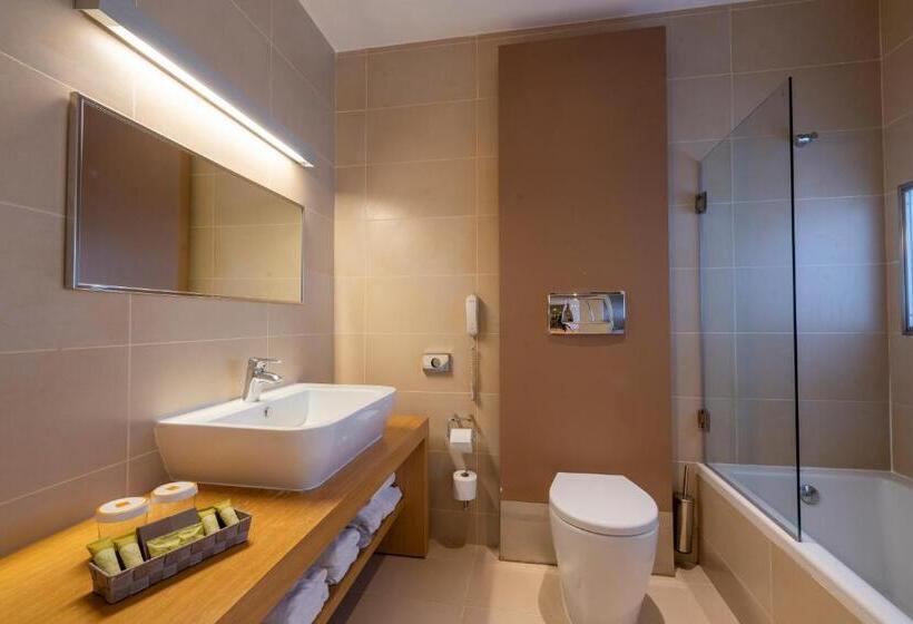 Президентский Люкс, Domotel Anemolia Mountain Resort