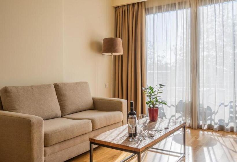 Представительский трехместный номер с видом, Domotel Anemolia Mountain Resort