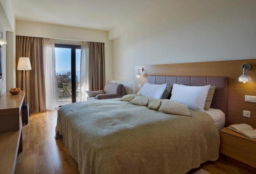 Представительский номер с видом, Domotel Anemolia Mountain Resort