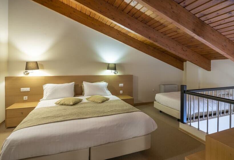 Президентский Люкс, Domotel Anemolia Mountain Resort