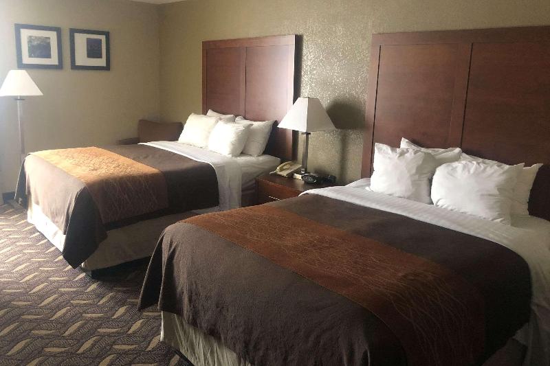 سوئیت با تخت بزرگ, Best Western Plus White Horse