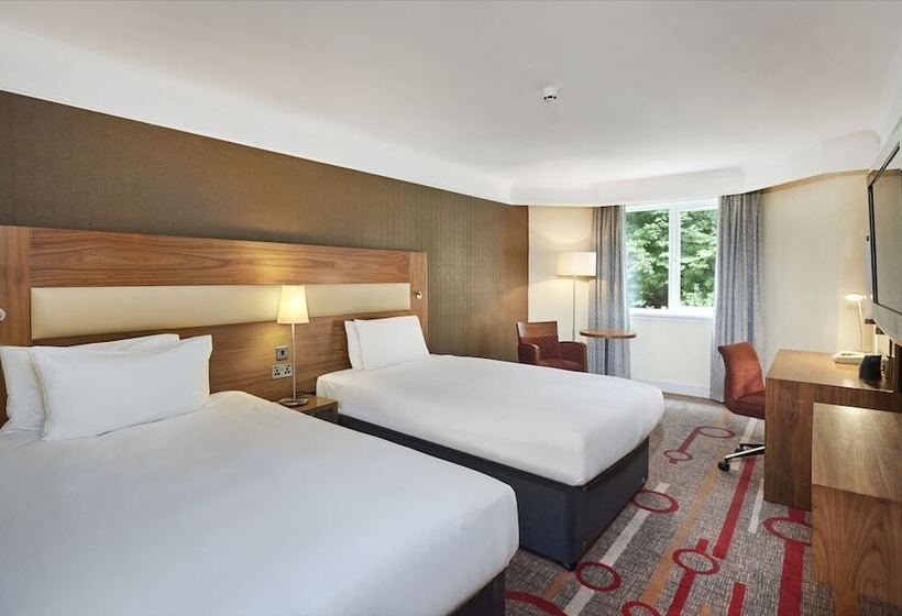 اتاق لوکس خانوادگی, Orida Hotels Newbury