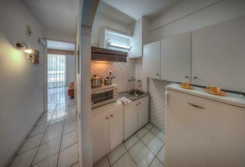 آپارتمان اکونومی 1 خوابه, Zina Hotel Apartments