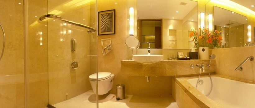豪华房间, Taj Coromandel