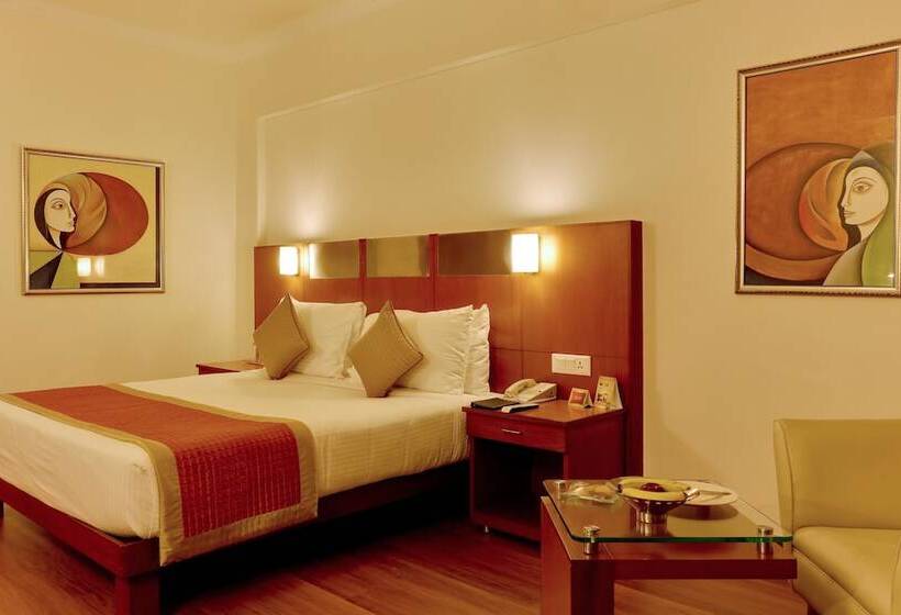 اتاق لوکس, The Suryaa  New Delhi