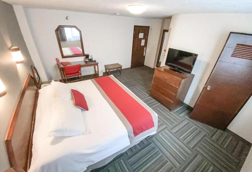 اتاق استاندارد با تخت بزرگ, Ramada Plaza By Wyndham Leon
