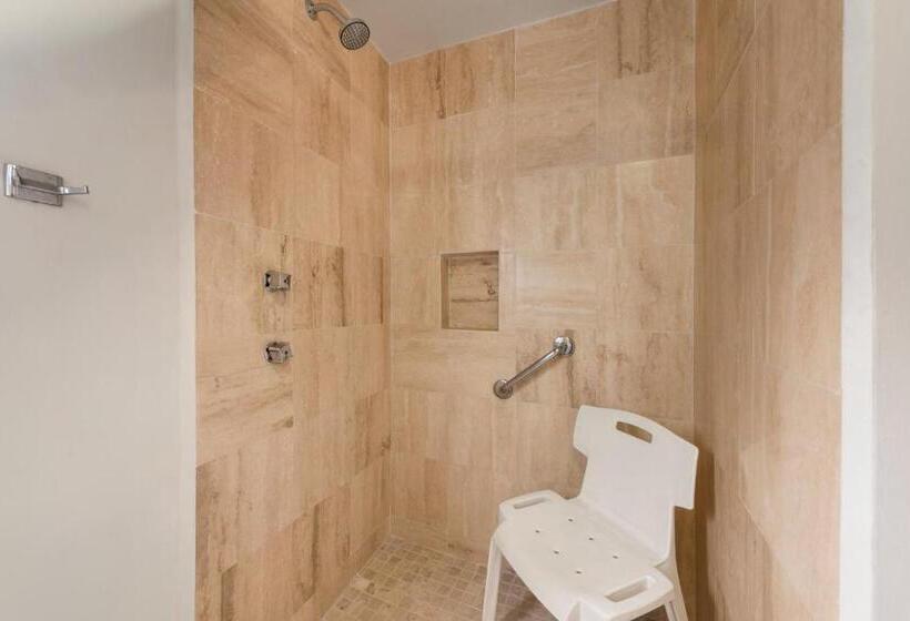 اتاق استاندارد برای معلولان, Ramada Plaza By Wyndham Leon
