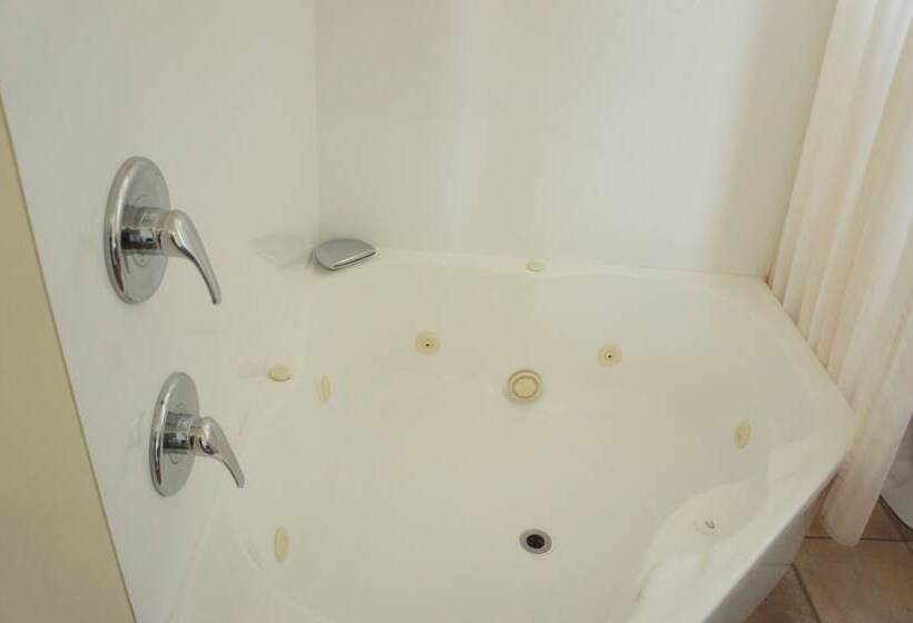 Студия Стандарт, Bk S Egmont Motor Lodge