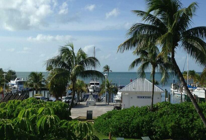اتاق استاندارد با تخت بزرگ, Banana Bay Resort & Marina