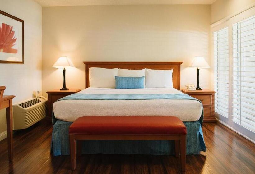 اتاق استاندارد با تخت بزرگ, Alamo Inn And Suites  Convention Center